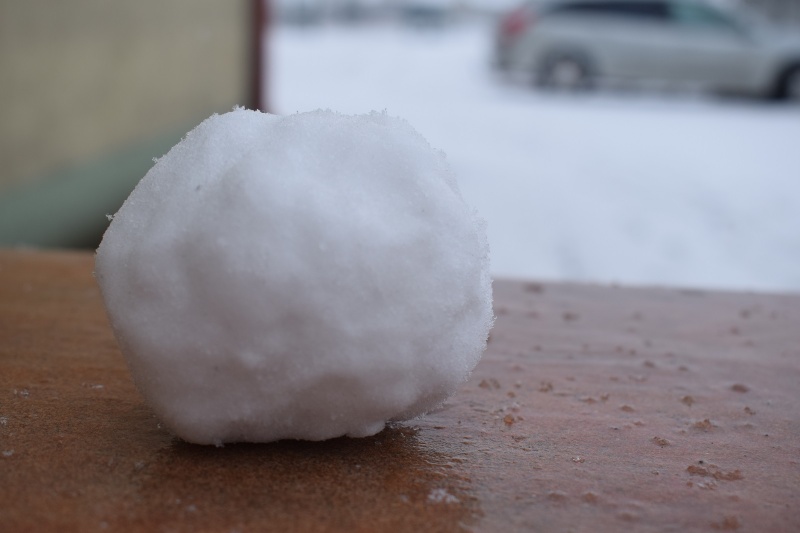 Pani Zima na Kujawach - kogo rzucić śnieżką? (fot. PJ)  