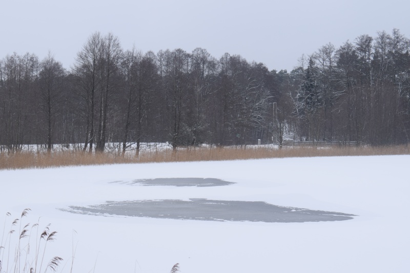 Pani Zima na Kujawach - jezioro Czarne (fot. PJ)  