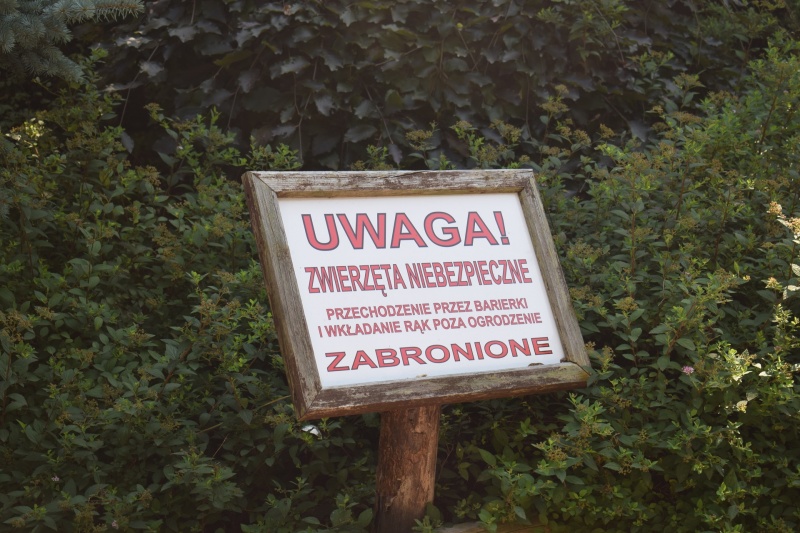 Zoo w Płocku (fot. PJ)  