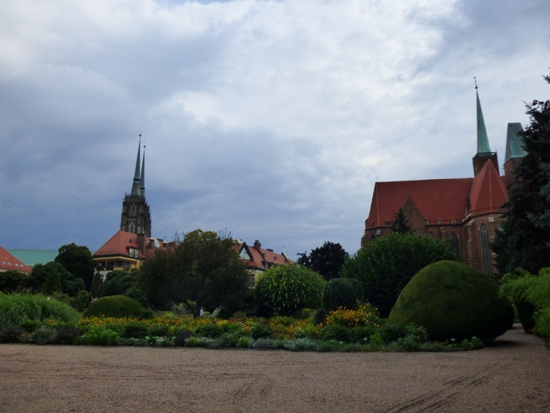 Cuda Ogrodu Botanicznego Uniwersytetu Wrocławskiego - panorama parku
  