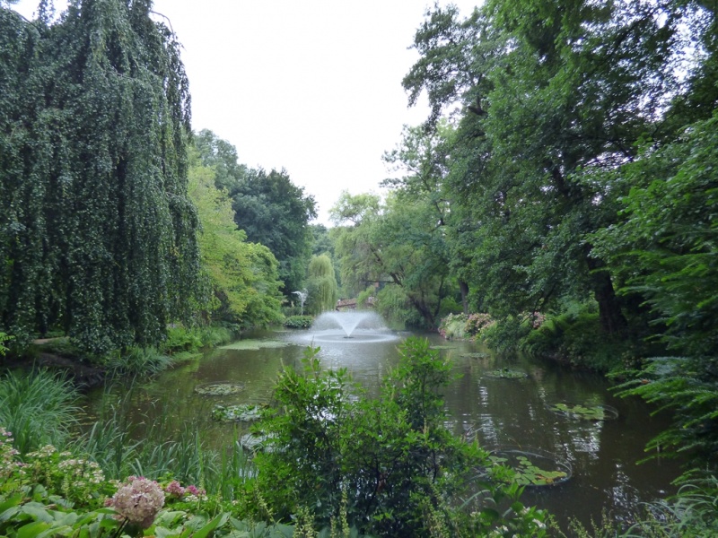 Cuda Ogrodu Botanicznego Uniwersytetu Wrocławskiego - w takim widoku można się zauroczyć... co ja mówię, zakochać na całe lata, jak nie życie!
  