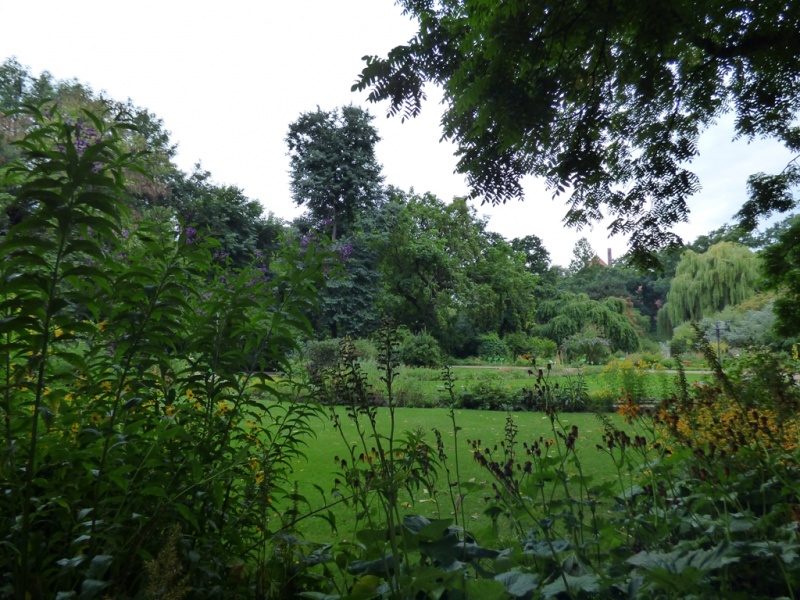 Cuda Ogrodu Botanicznego Uniwersytetu Wrocławskiego - przepiękna roślinność
  