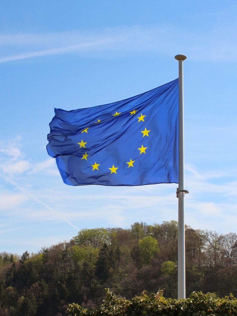 Flaga UE (źródło: pixabay.com)  