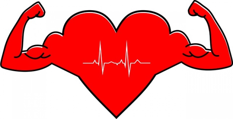 Waleczne serce (pixabay.com)  