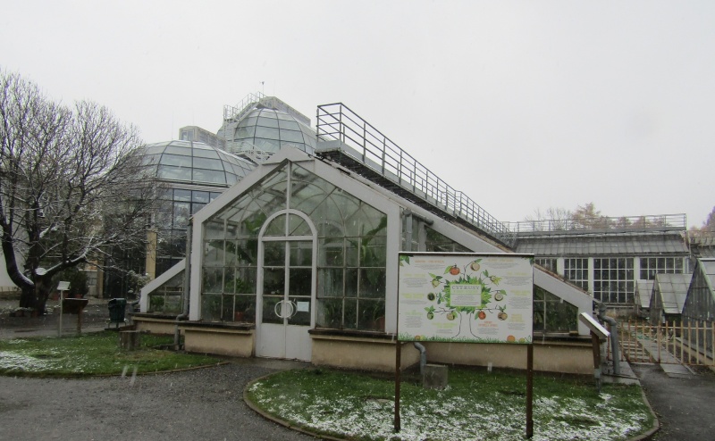 Ogród Botaniczny UJ (fot. PJ)  