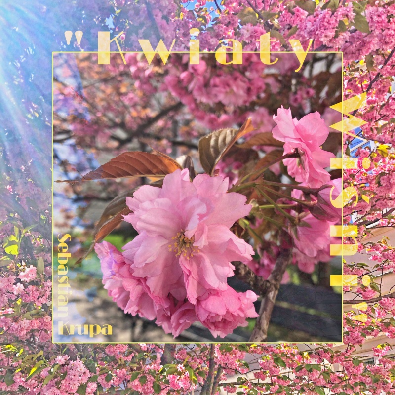 Okładka utworu "Kwiaty Wiśni"(fot. materiały prywatne)  