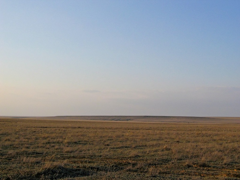 Tło - kazachskie stepy (źródło: wikimedia.org)  