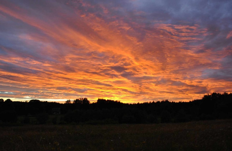 Zachód słońca na polem i lasem (fot. Monika Krzyżanowska)  
