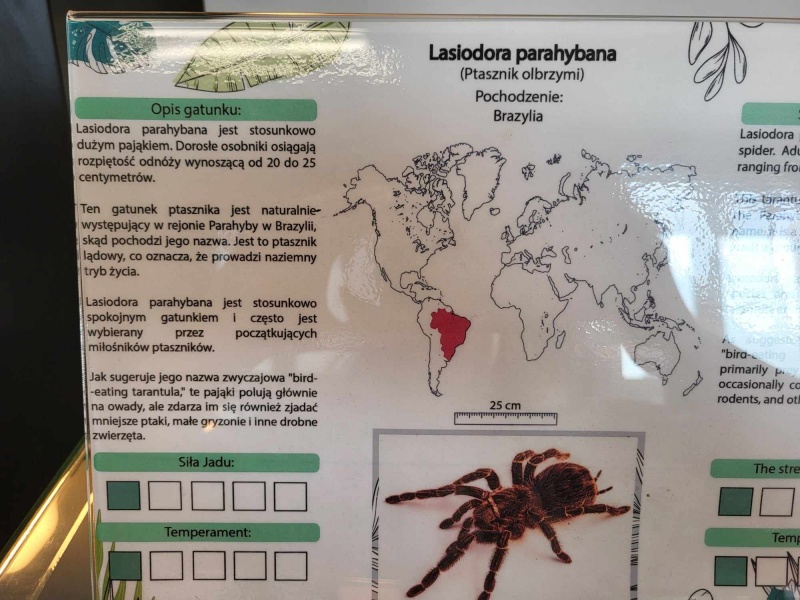 Bezkręgowce - Wystawa Zwierząt Egzotycznych w Dęblinie (fot. Holly Molly)  