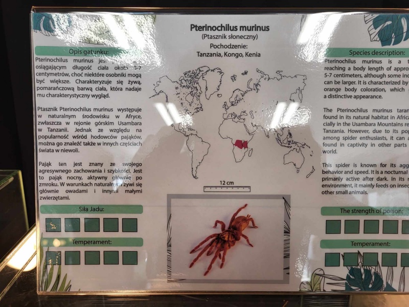 Bezkręgowce - Wystawa Zwierząt Egzotycznych w Dęblinie (fot. Holly Molly)  