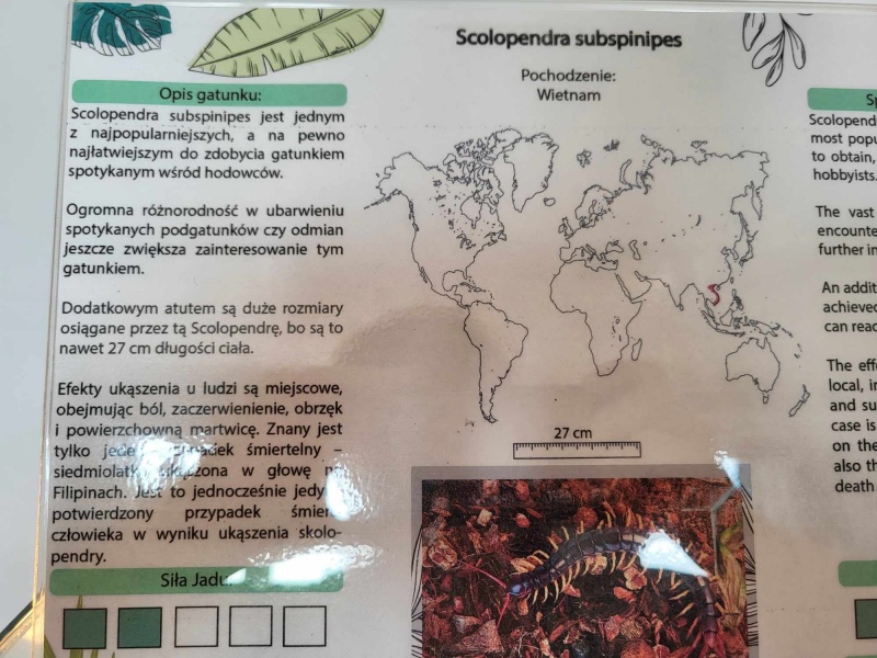 Bezkręgowce - Wystawa Zwierząt Egzotycznych w Dęblinie (fot. Holly Molly)  