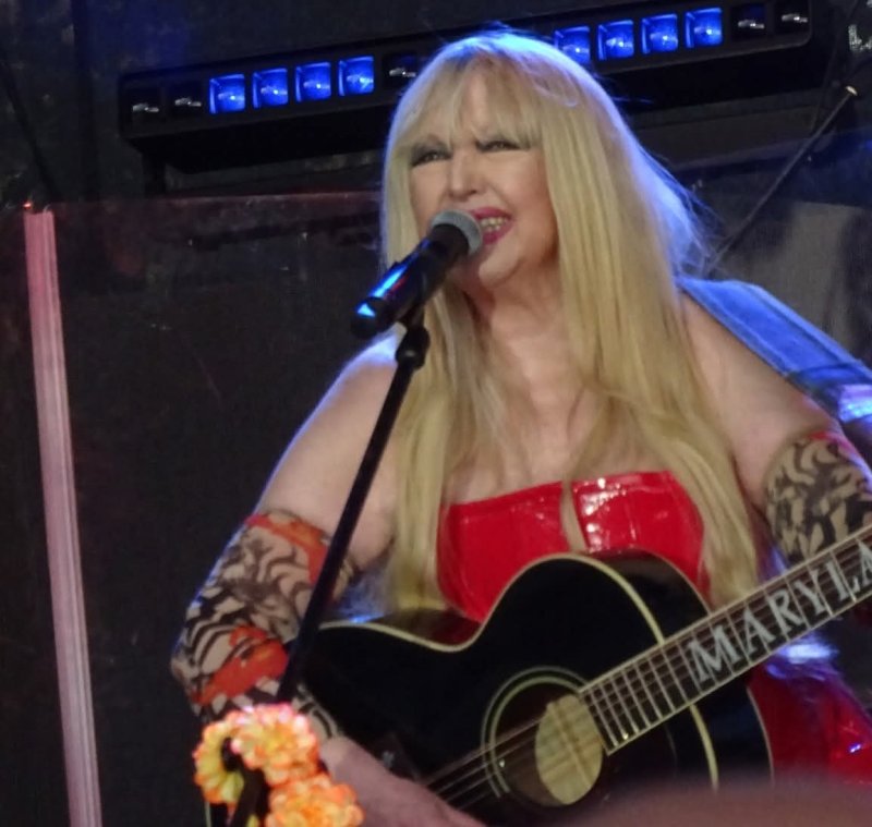 Koncert Maryli Rodowicz w Parku na Słodowie (fot. Anna Ciesielska)  