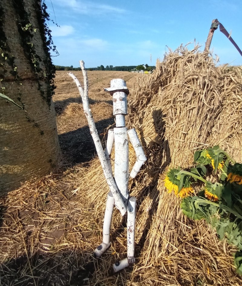 Witacze dożynkowe (fot. PJ)  