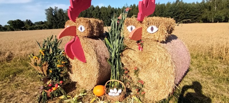 Witacze dożynkowe (fot. PJ)  