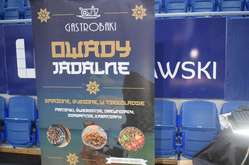 Festiwal Kuchni i Kultury Azjatyckiej (fot. PJ)  