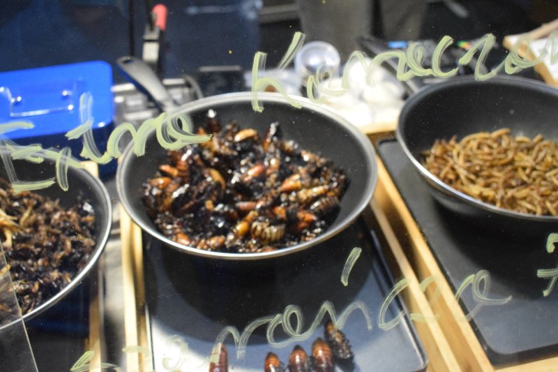 Festiwal Kuchni i Kultury Azjatyckiej - i kolejne robaczki! (fot. PJ)  