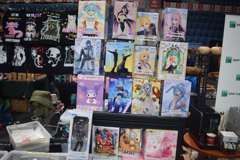 Festiwal Kuchni i Kultury Azjatyckiej - dział mangi (fot. PJ)  