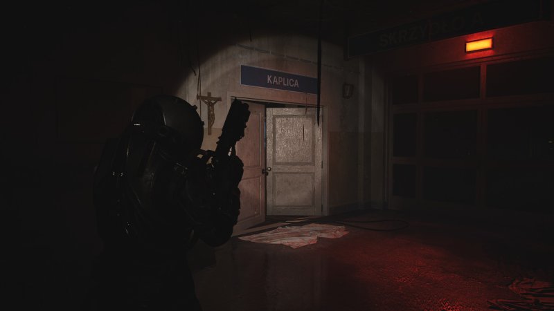 Screen z gry "Cronos: The New Dawn" (źródło: rozgrywka własna)  