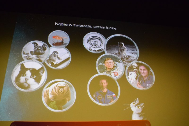 IV Festiwal Książek w Płocku - dzień drugi (fot. PJ)  