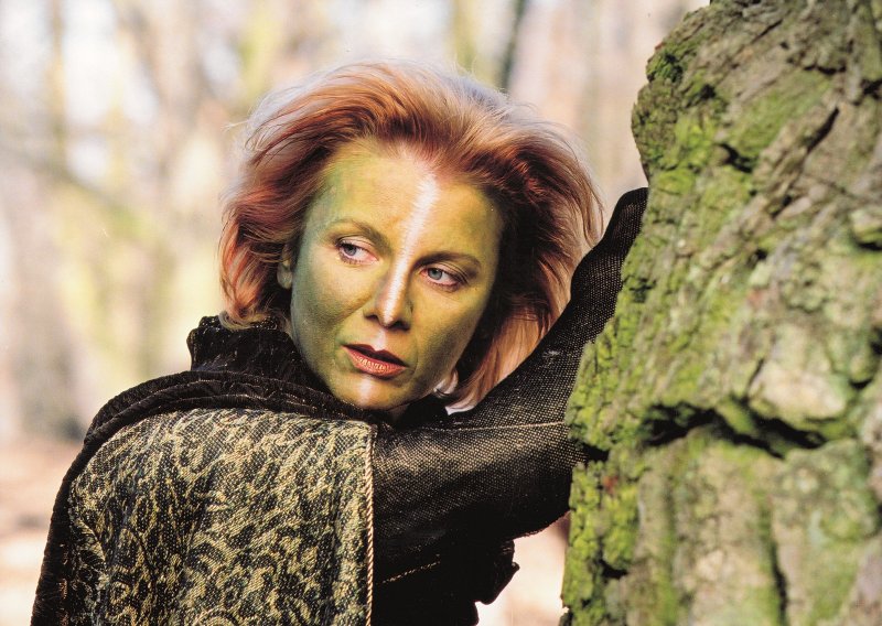 Kadr z filmu "Wiedźmin" (materiały prasowe)  