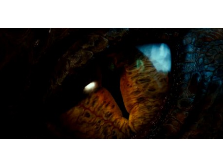 Kadr z filmu "Hobbit: Pustkowie Smauga" (źródło: youtube.com)  