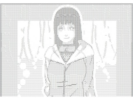 ASCII Art - wykonane programowo na podstawie zdjęcia  