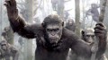 "Ewolucja planety małp" – Caesar – Władca Małp - recenzja;Ewolucja planety małp;science fiction;Matt Reeves;Caezar;Andy Serkis;szympans;małpy;postapokalipsa 