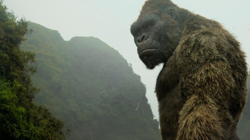 Kadr z filmu "Kong: Wyspa Czaszki" (źródło: youtube.com)  