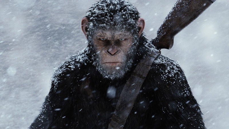 Kadr z filmu "Wojna o planetę małp" (źródło: youtube.com)  